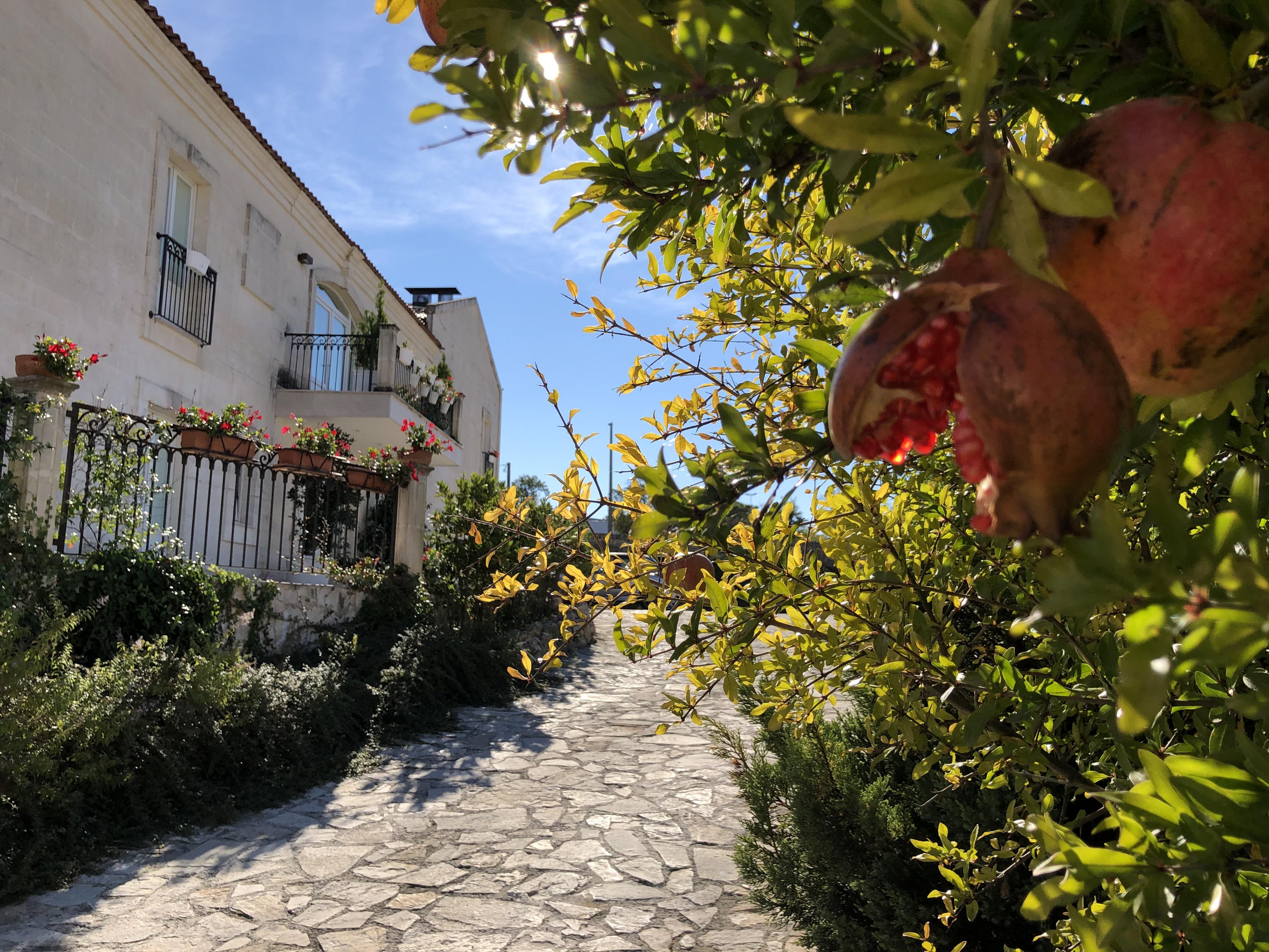 Hotel Cave Del Sole Matera Eksteriør billede